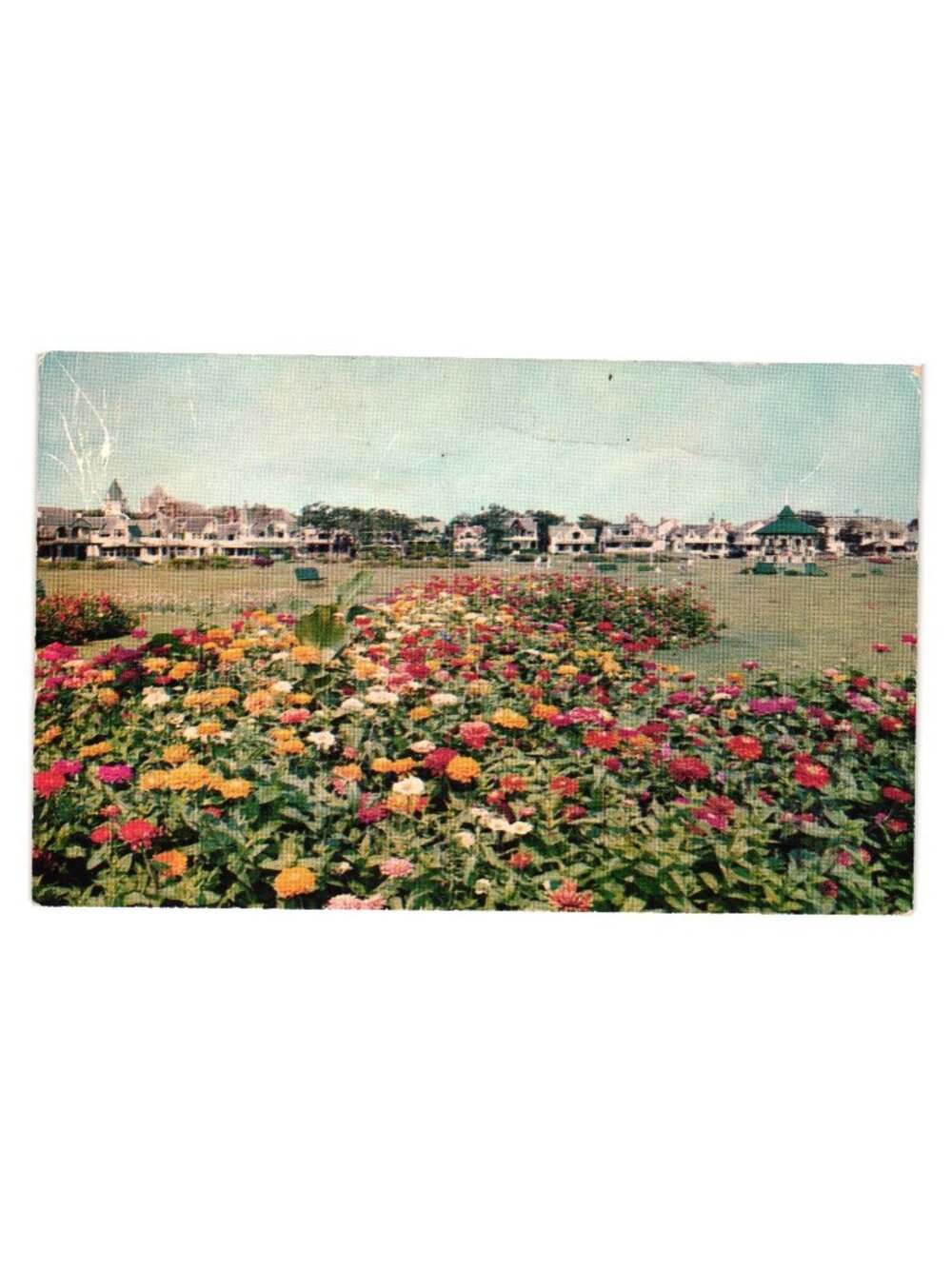 Vintage Marthas Vineyard Ocean Park Bandstand Postcard Oak Bluffs MA P2457
